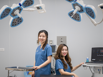 Our Services Detail AVF 1