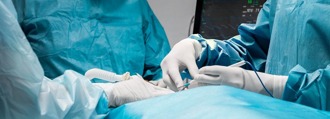 Our Services Detail AVF 1