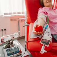 Solar Panels Small 2