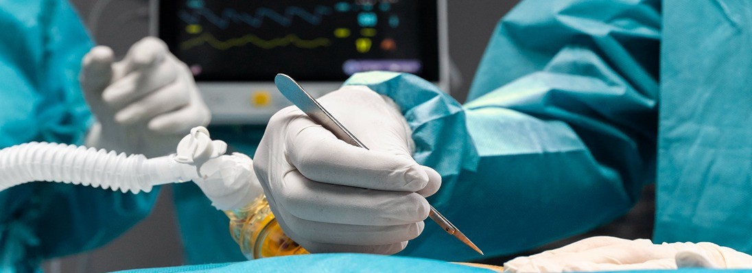 Our Services Detail AVF 1