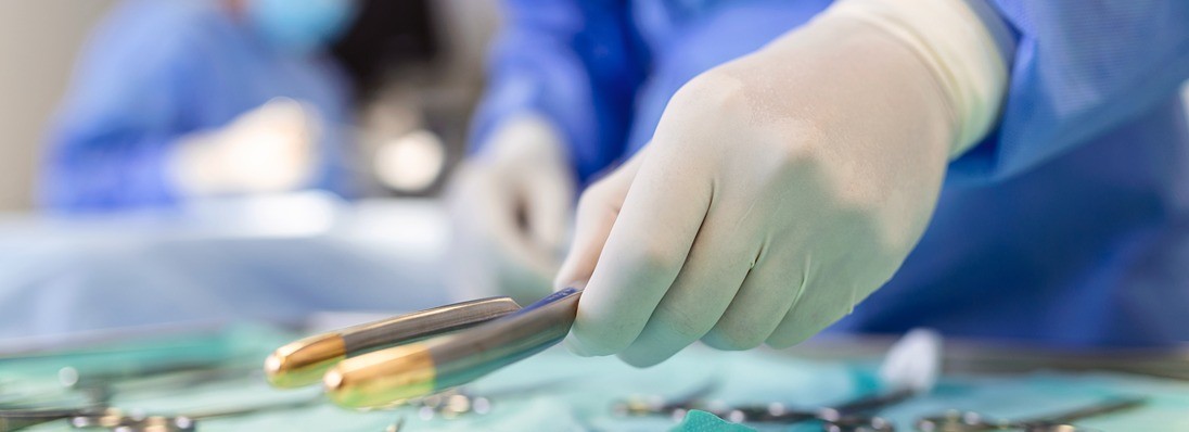 Our Services Detail AVF 1