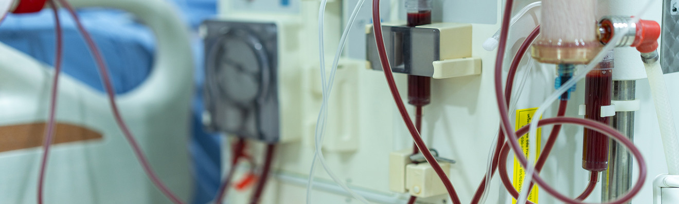 Our Services Detail AVF 1