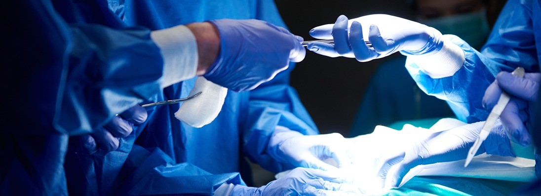 Our Services Detail AVF 1