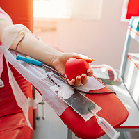 Solar Panels Small 1