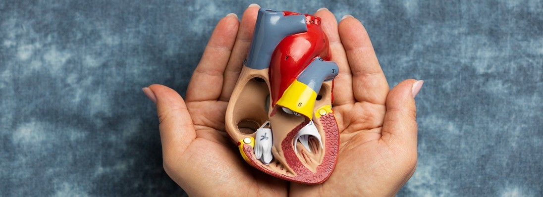 Our Services Detail AVF 1