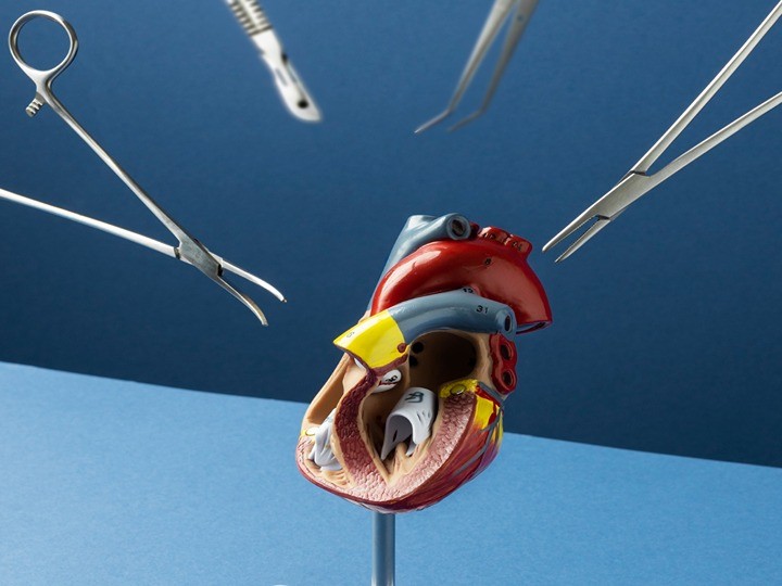 Our Services Detail AVF 1