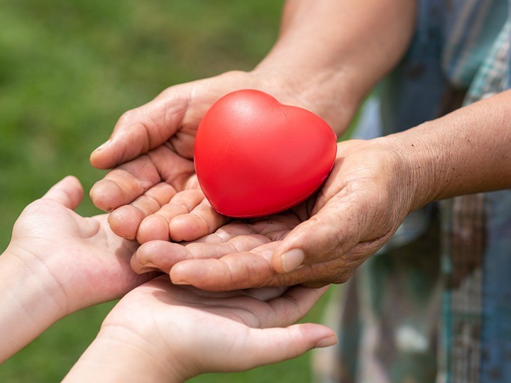 Our Services Detail AVF 1